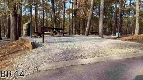 30 AMP Broad River Interior Campsite — image 2 of 5