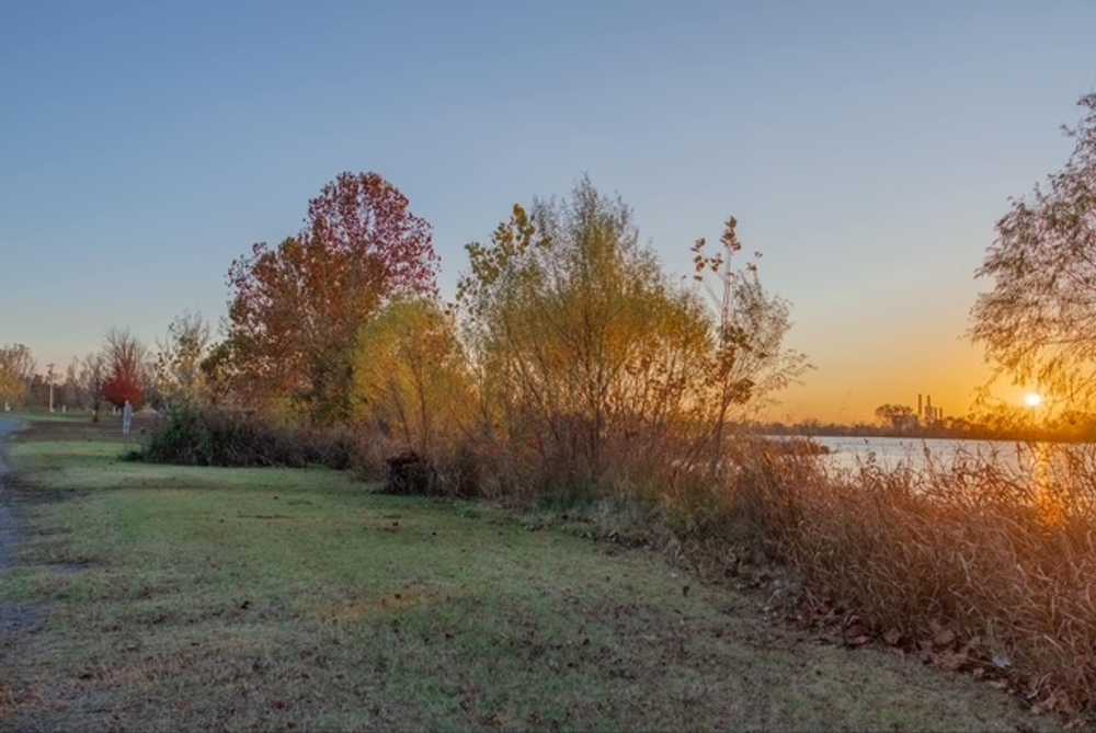 Park Image 5