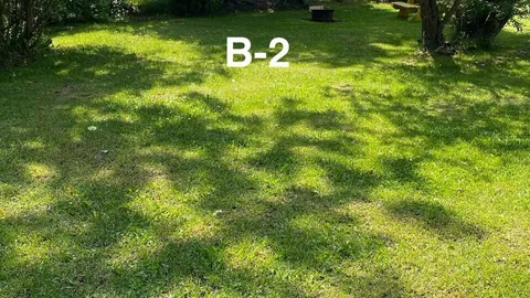 Section B — image 2 of 4