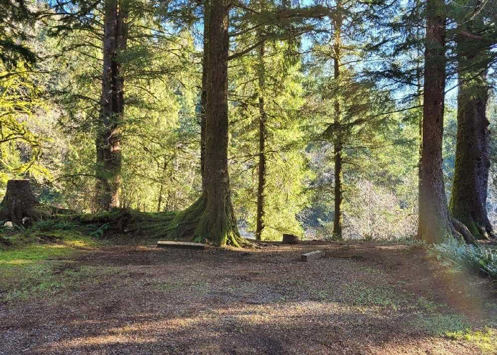 Kilchis River County Campground - Photo 3