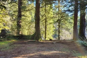 Kilchis River County Campground – photo 3