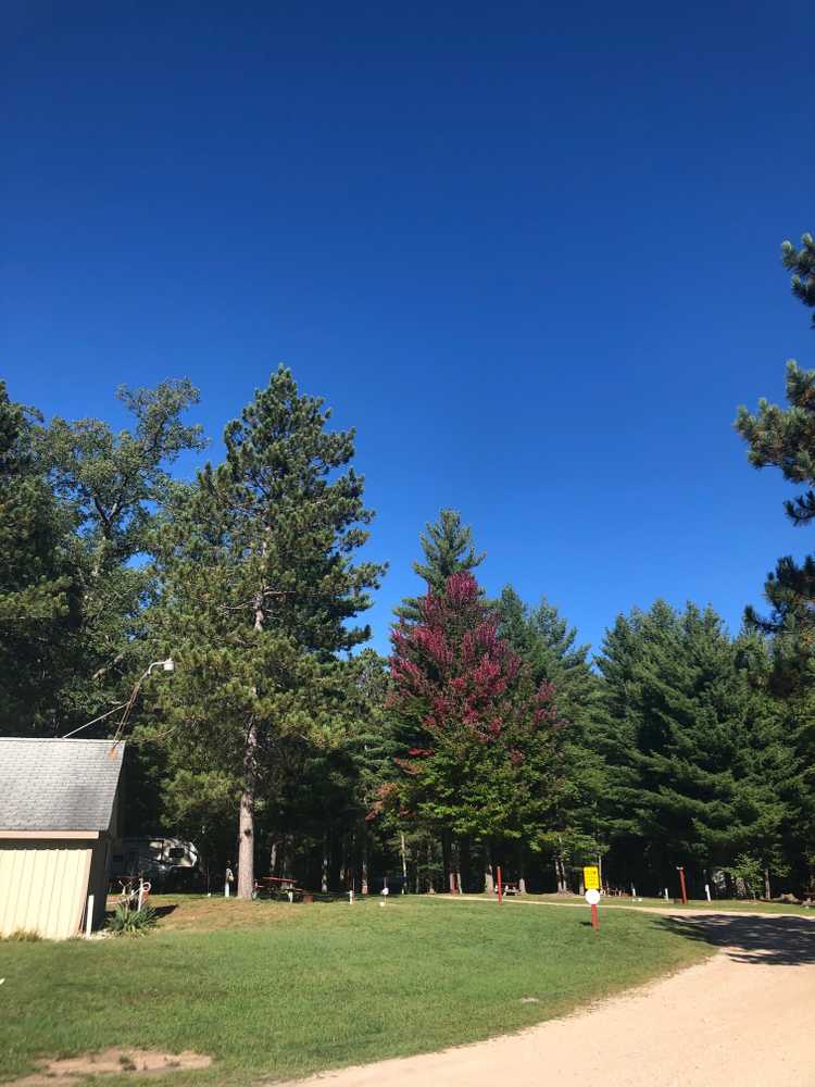 Fox Run Family Campground & RV Park, Fife Lake, Michigan - Photo 5