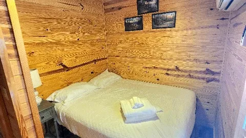 Zoo Cougar Cabin — image 2 of 15