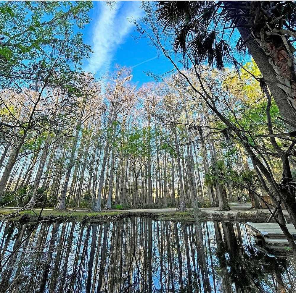 Park Image 11