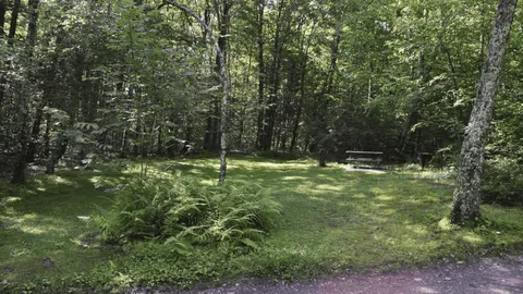 PRIMITIVE TENT SITE — image 1 of 3