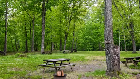 Waterview Rustic Group Tent — image 1 of 1
