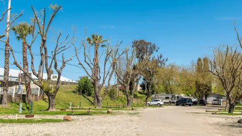 Premium Back-In RV Site — image 2 of 5