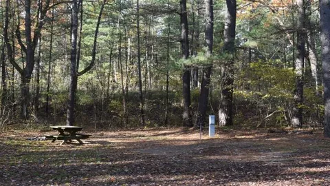 RV or Tent Group Site ( 2 RVs ) - Electric/Water — image 4 of 4