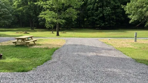 20/50 Amp Pull-Throughs RV Site — image 1 of 1