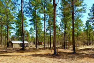 Kick it Back Cabins and RV Park – photo 2