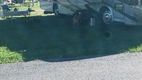 30 AMP Pull Through RV Site — image 1 of 4