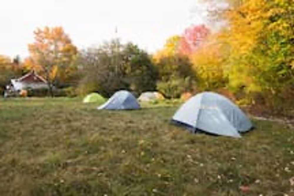 Meadow Camping