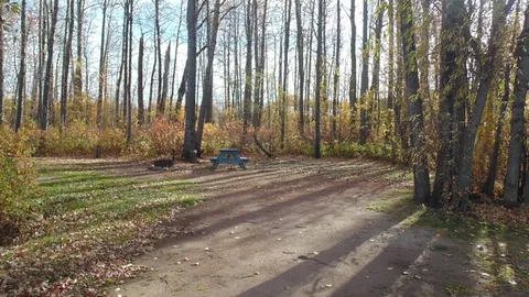 STANDARD POWER SITE - NON LAKESIDE — image 1 of 3