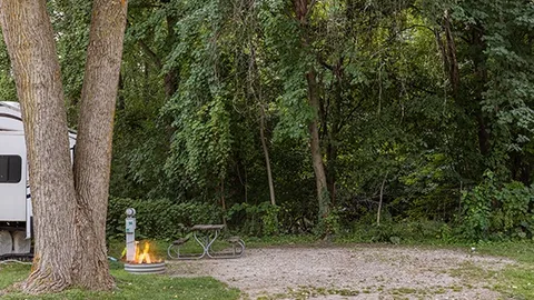 Standard Full Hookup 30amp RV Site — image 3 of 3
