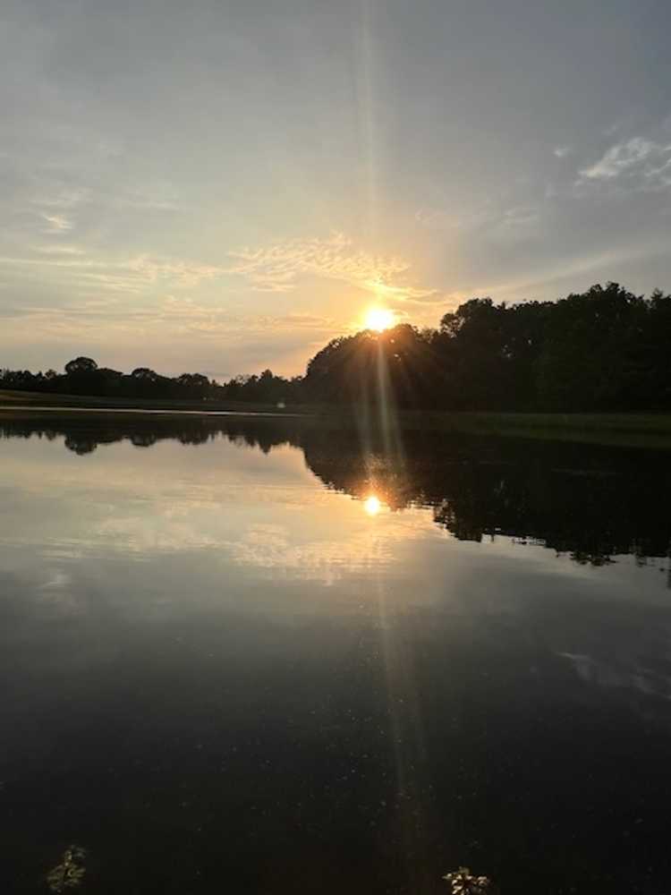 Park Image 7