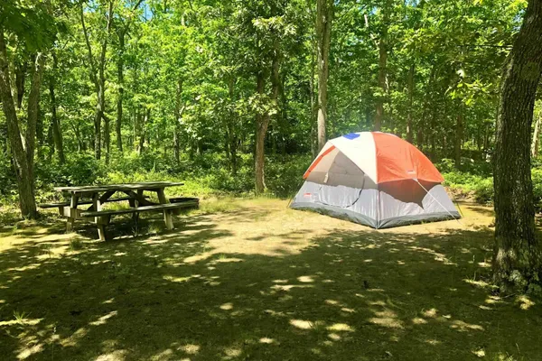 Martha's Vineyard Family Campground – photo 1