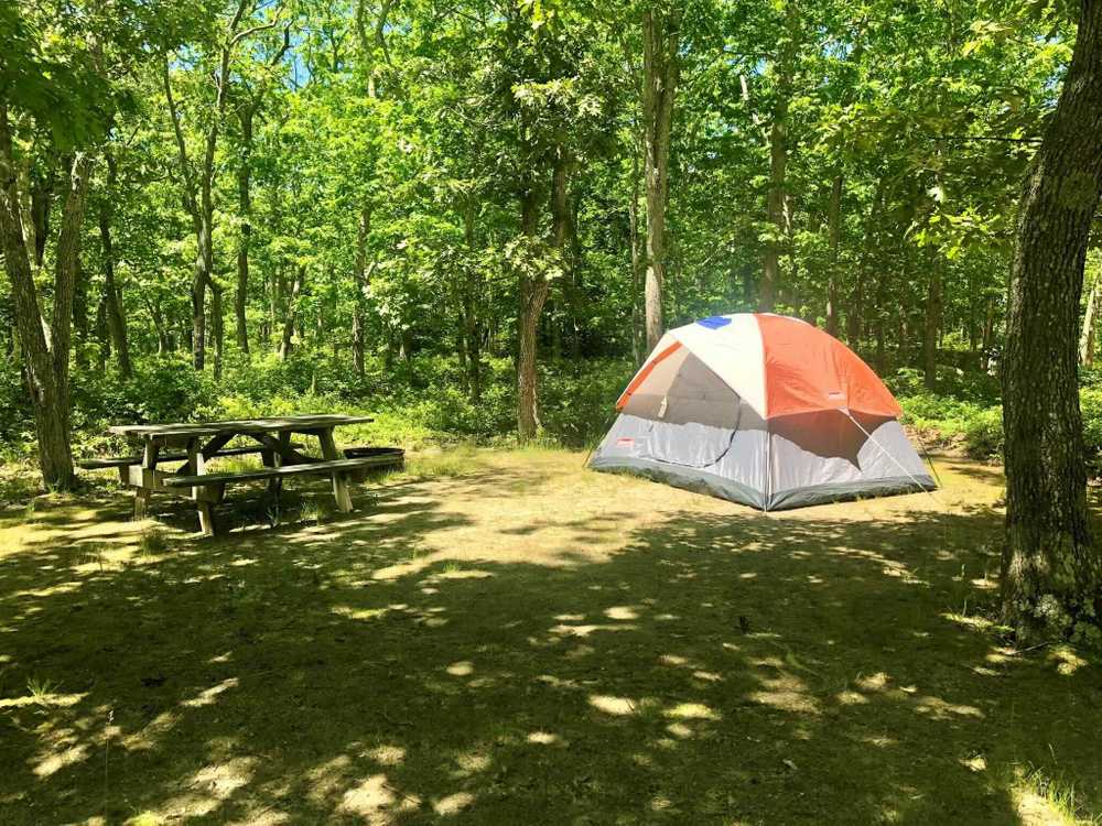 Martha's Vineyard Family Campground, Vineyard Haven, Massachusetts - Main Photo