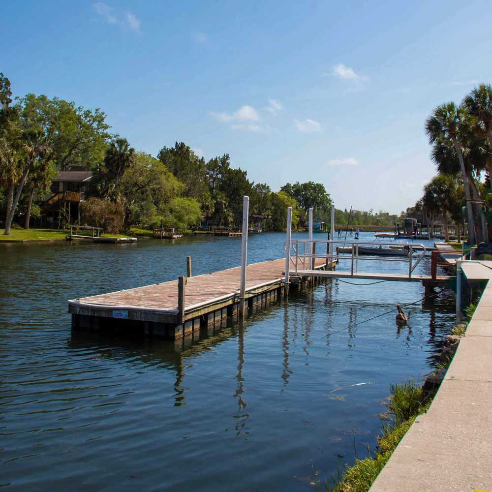 Mary's Fish Camp - Bayport, FL - Photo 5