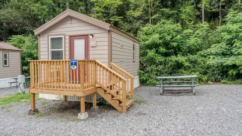 Bear Essentials Cabin — image 1 of 11