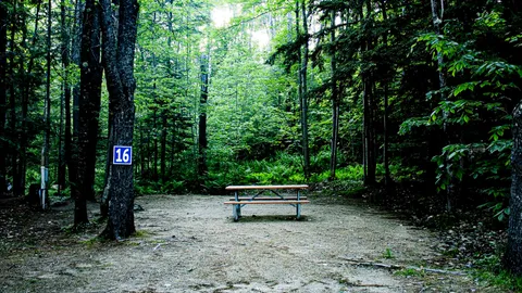 Standard Back-In RV Site — image 1 of 4