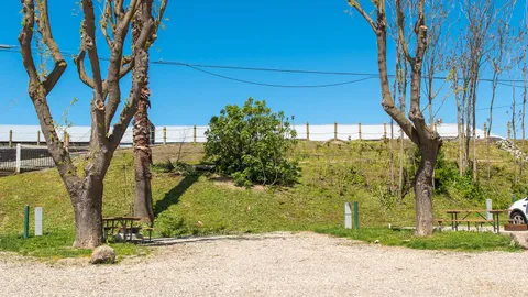 Premium Back-In RV Site — image 2 of 5