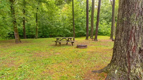 Tent Site with Water and Electric — image 1 of 3