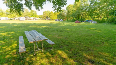 Tent / Pop-up Site — image 2 of 4