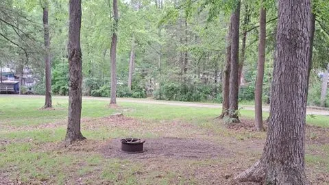 Tent Site (Primitive) — image 2 of 4