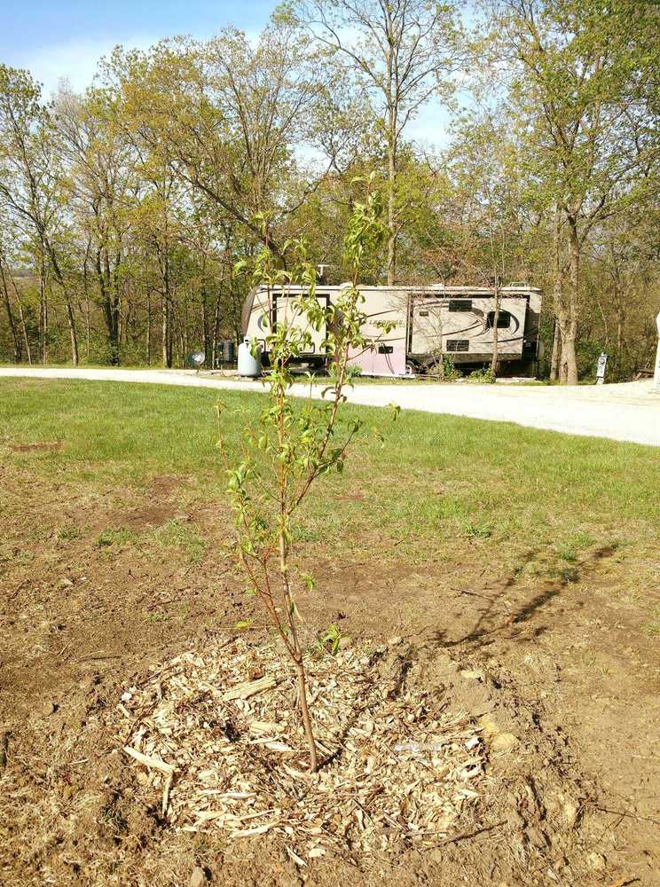 Homewood RV Park - Photo 3