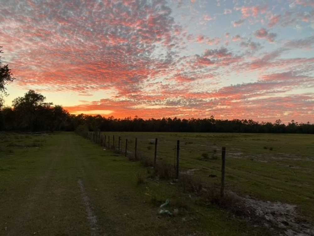 Cowbird Campground, Live Oak, Florida - Photo 4