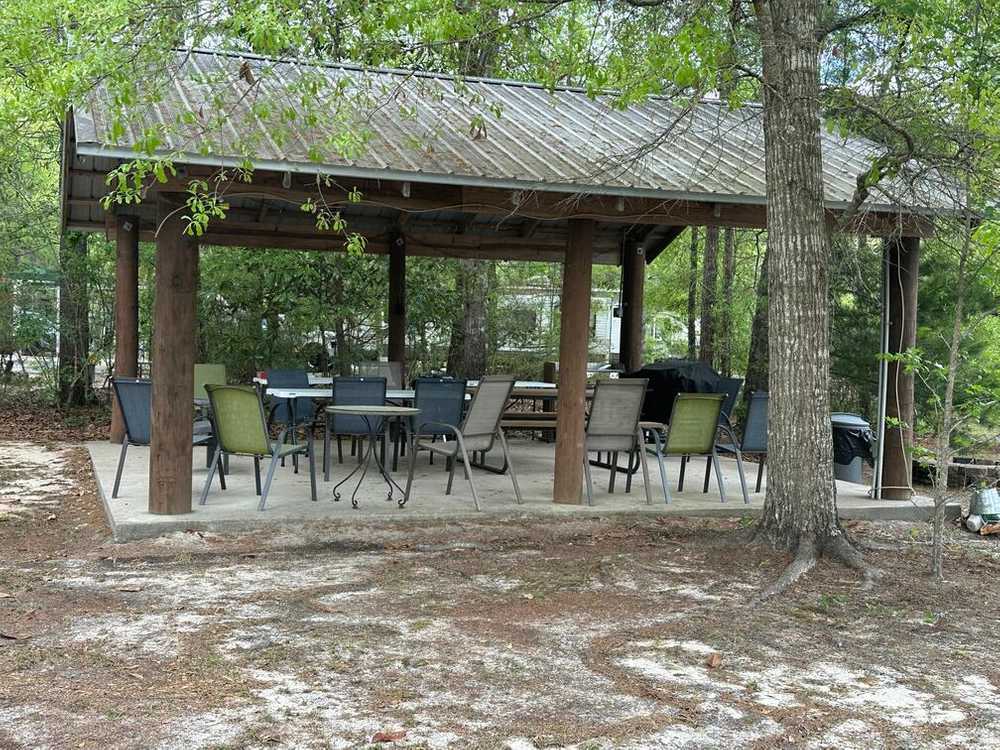 Magnolia Sands RV Park, Wiggins, Mississippi - Photo 2