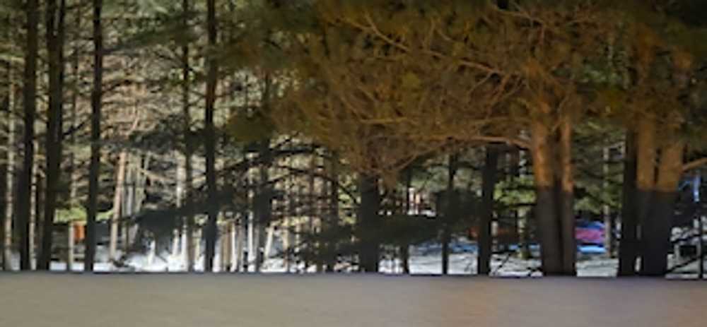 Black Dog Base Camp, Lewiston, Michigan - Photo 4