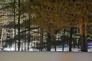 Black Dog Base Camp – photo 4