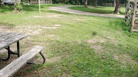 SBL Site 318 - Unserviced (TEC) — image 2 of 2