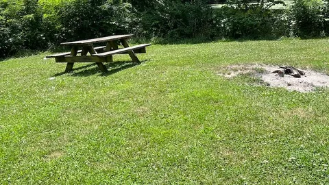 Primitive Lakefront — image 6 of 6