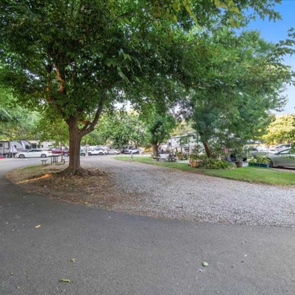 Park Image 5