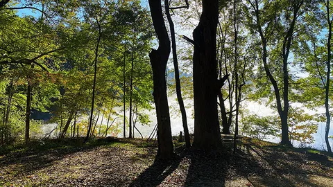 Owen's Loop / Single Tent / Lake Front — image 1 of 3