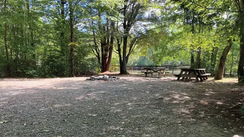 Standard Tent Site — image 1 of 6