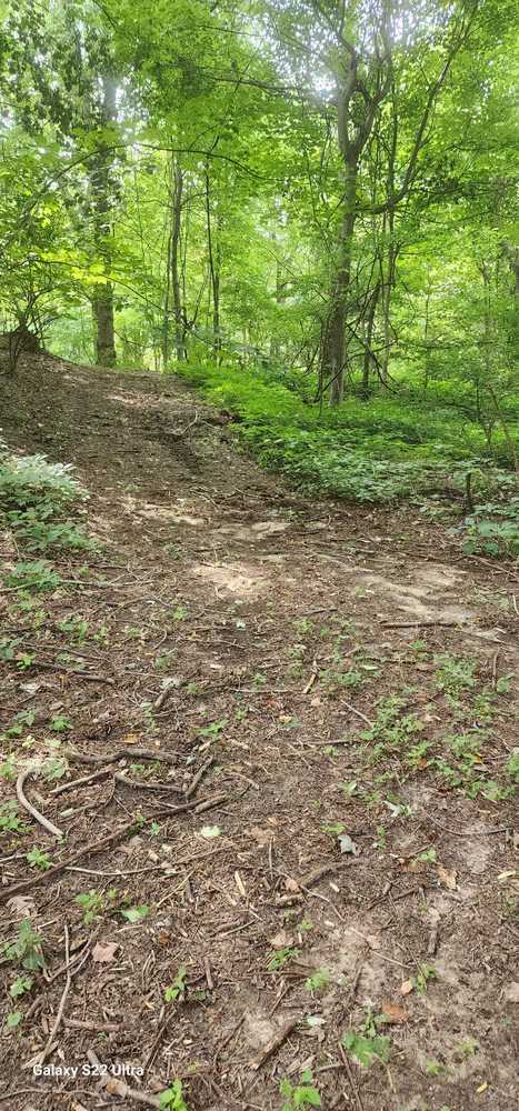 Park Image 5