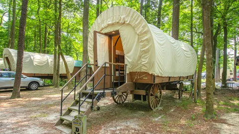 Conestoga Wagon — image 1 of 4