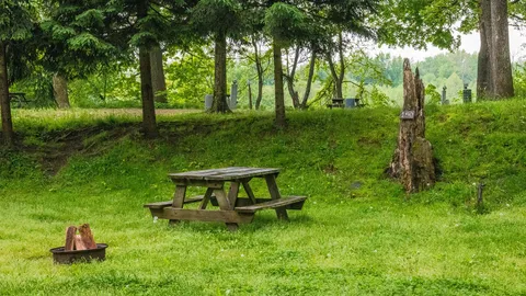 Rustic Tent — image 3 of 3