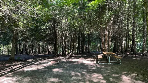 Timber Trail - Unserviced Site — image 6 of 6