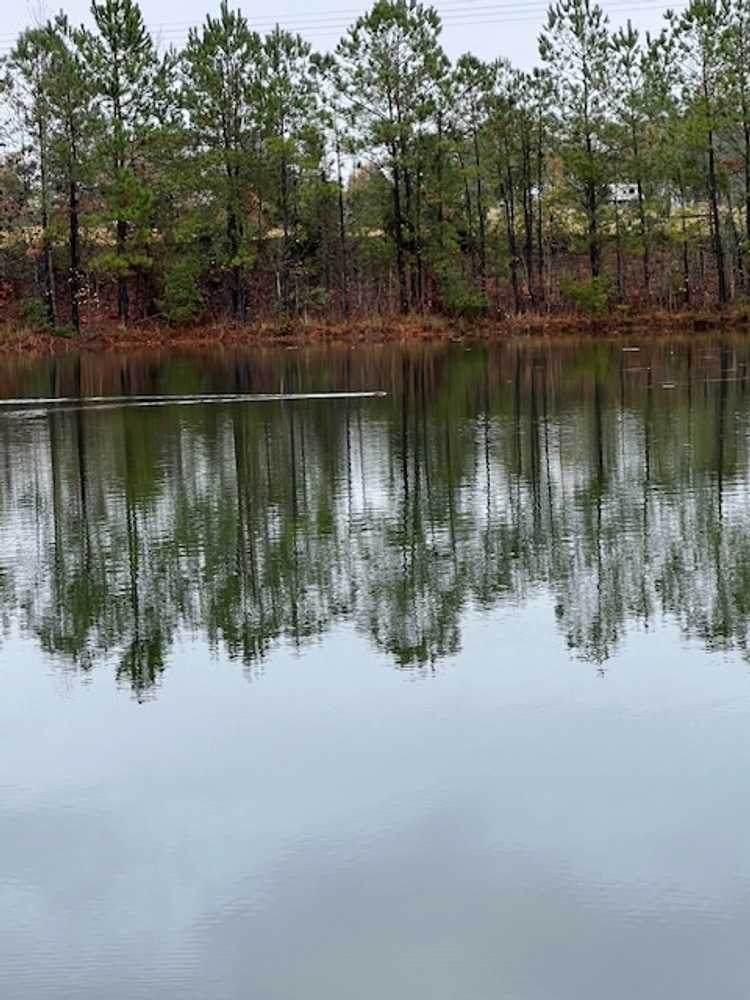 Park Image 12