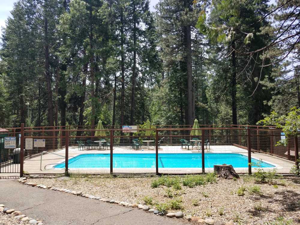 Golden Pines RV Resort, Arnold, California