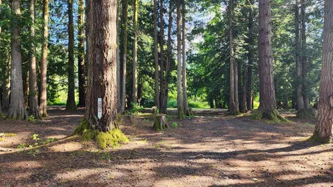 Section B - Grassy Area — image 2 of 4