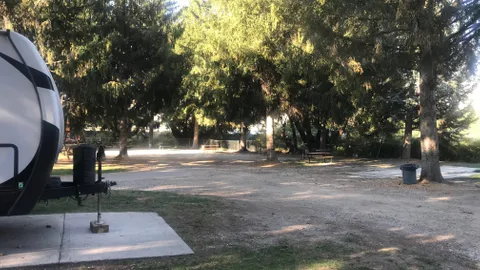 In the Trees Pull Through- Full Hookups — image 2 of 3