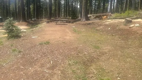 Hopper - Back-In Site — image 2 of 3