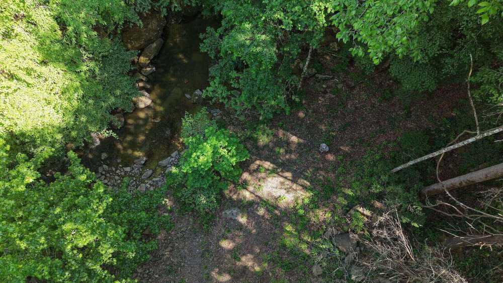 Park Image 6