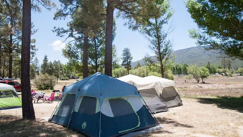 Lakeview Tent — image 5 of 5