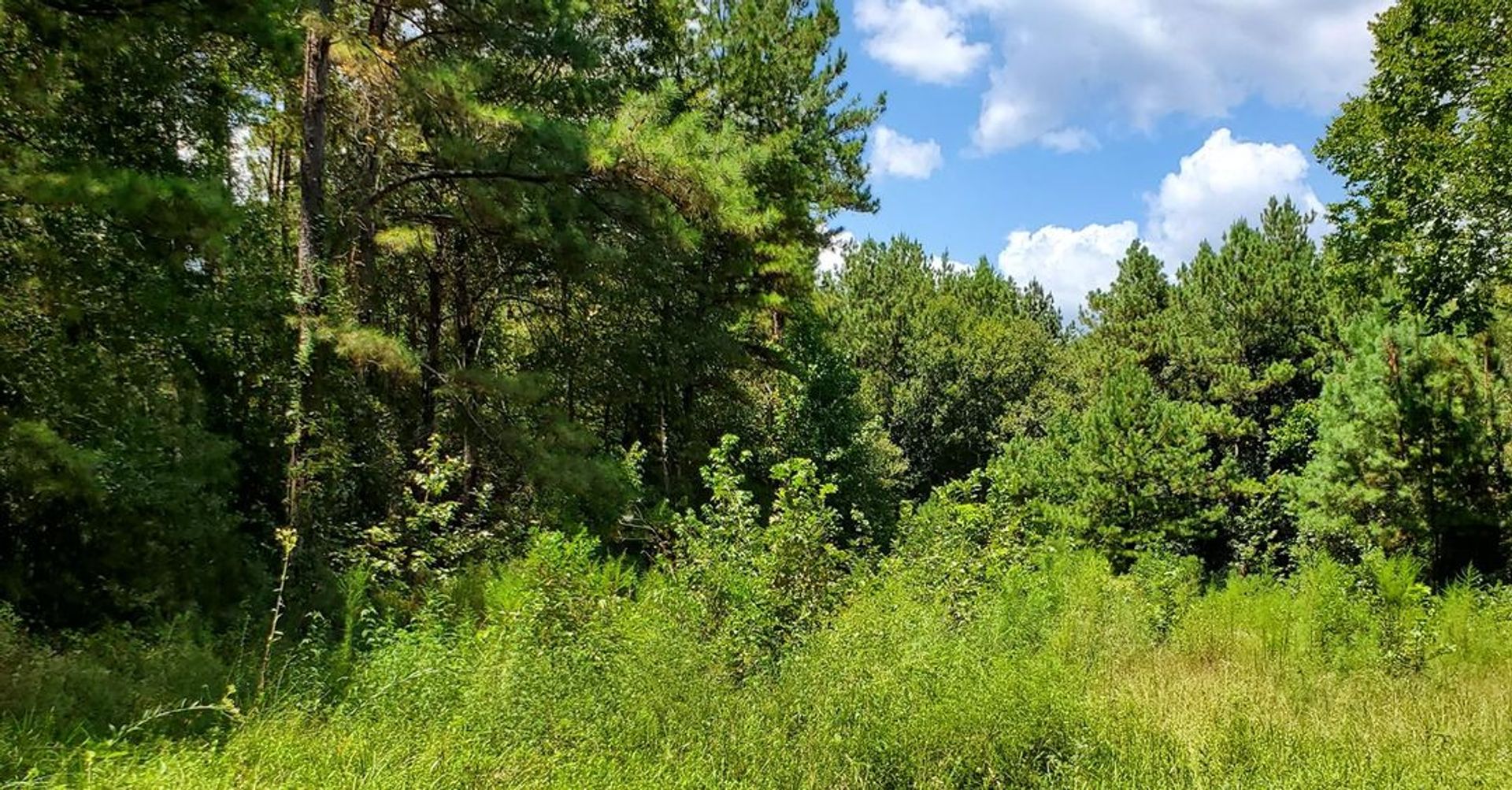 Camp Krenari, Shepherd, Texas